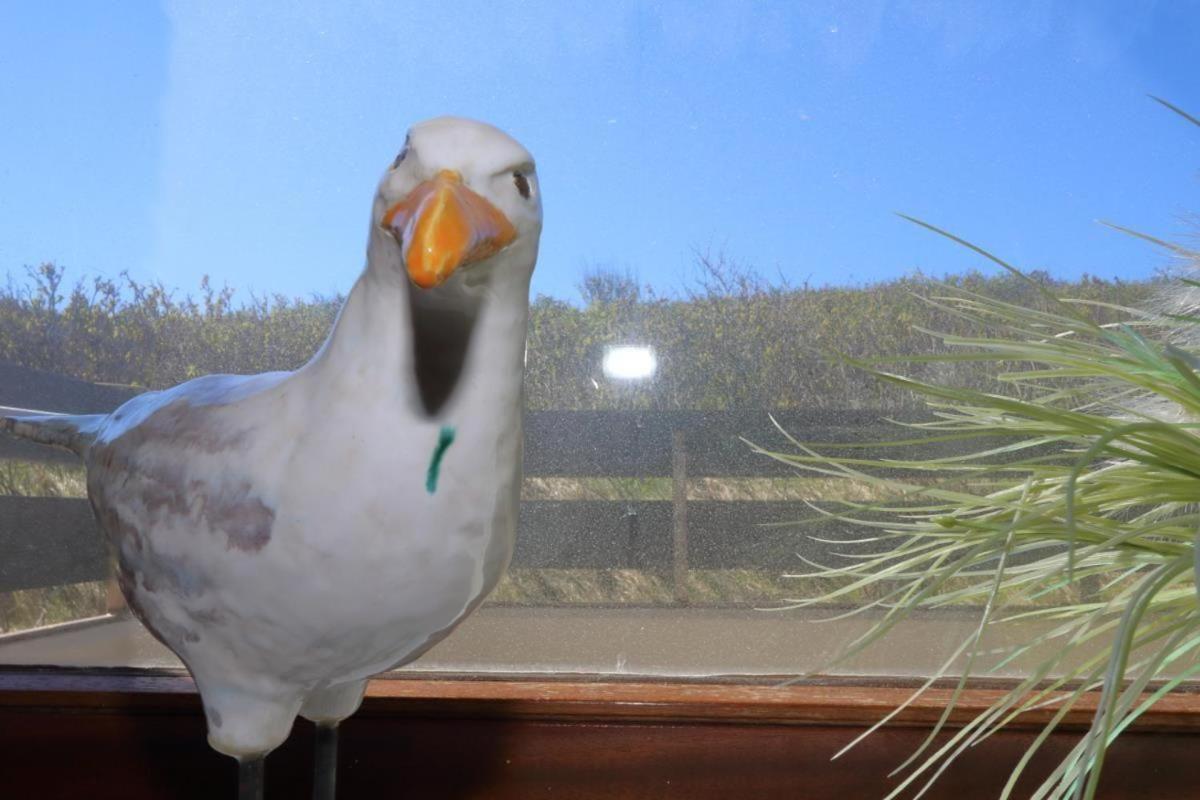 Apartament Wildlag Westerland Zewnętrze zdjęcie
